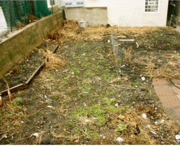 Need Help Cleaning your messy yard? Call us, we can help.